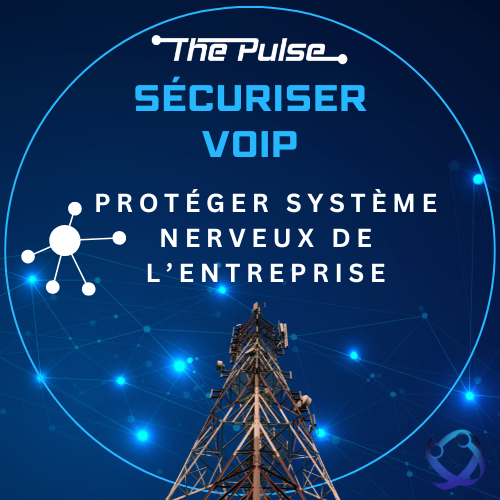 Sécuriser vos communications VOIP - Protéger le système nerveux de l entreprise